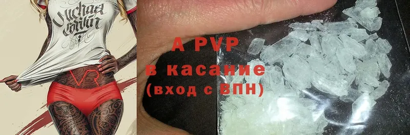 A PVP СК КРИС  Арск 